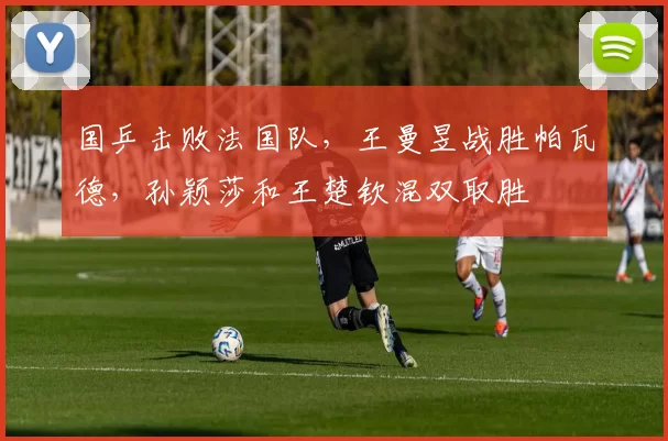 国乒击败法国队，王曼昱战胜帕瓦德，孙颖莎和王楚钦混双取胜
