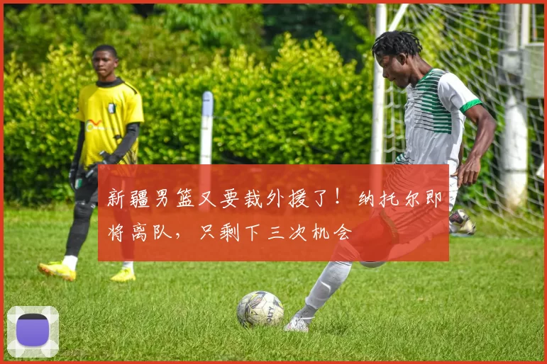 新疆男篮又要裁外援了！纳托尔即将离队，只剩下三次机会