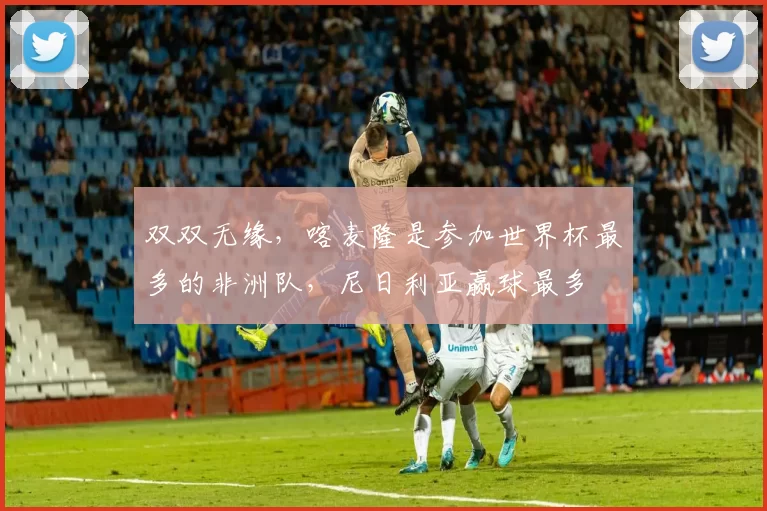 双双无缘，喀麦隆是参加世界杯最多的非洲队，尼日利亚赢球最多