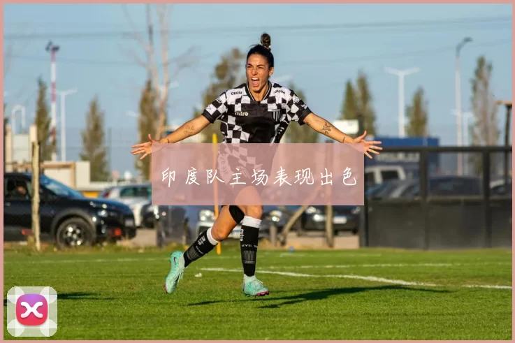 印度队主场表现出色